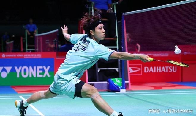 提供了新思 提供了新思