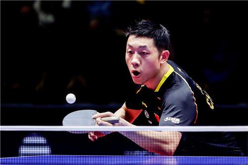 山东籍运动 山东籍运动