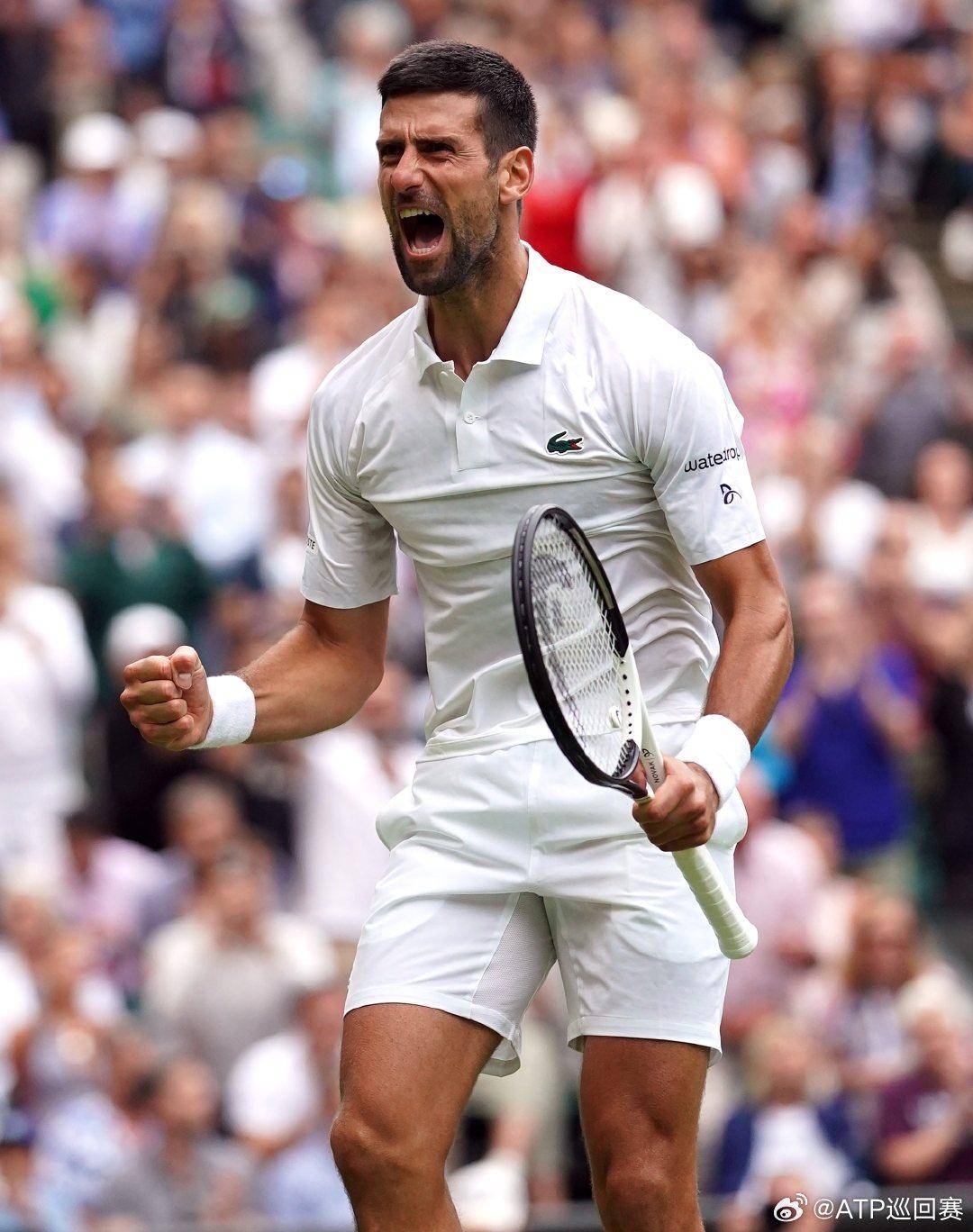 他知道费德 他知道费德