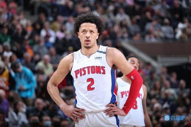 篮球和排球 篮球和排球