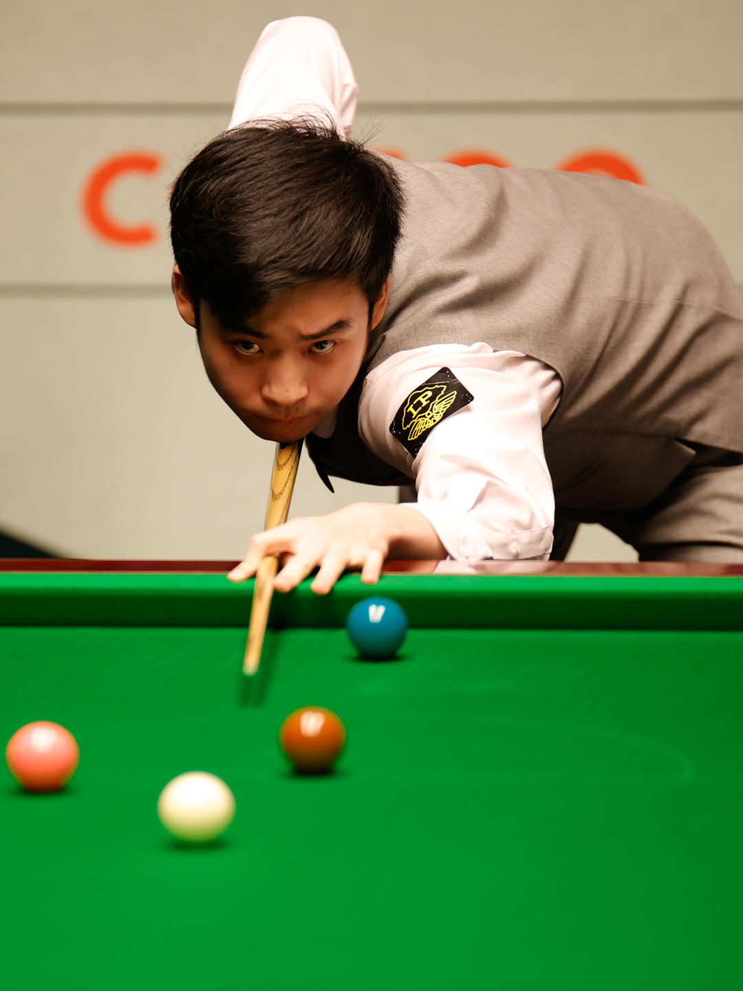 而备受瞩目 而备受瞩目